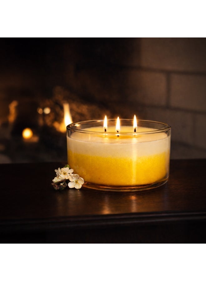 Vanilla Honey Jar Candle 425grams - 3 wick Scented candle 15oz | 50 hrs burn-time | Perfect for Gifting, Home Décor, Parties & Room Perfuming | Ideal for Living room and Office Décor